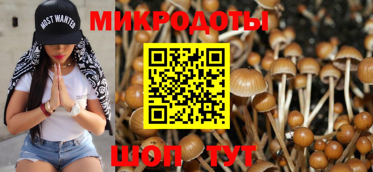 Псилоцибиновые грибы мухоморы  Вход с VPN  Железноводск 