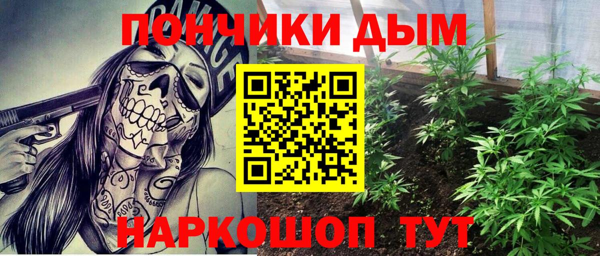 Каннабис планчик Железноводск